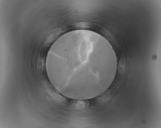 X0000111220330200907231446
