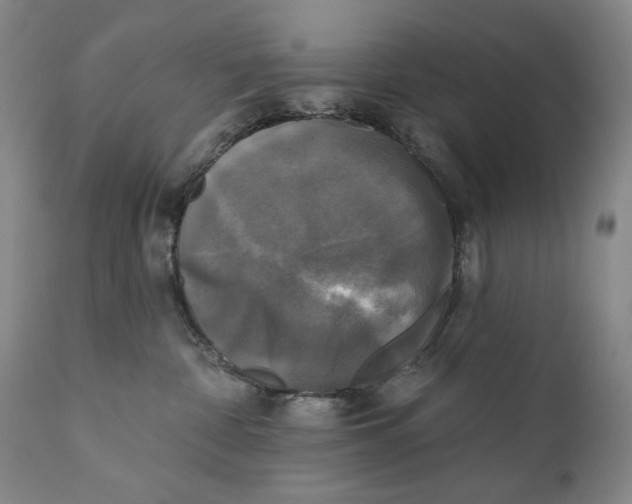 X0000111220332200907231446