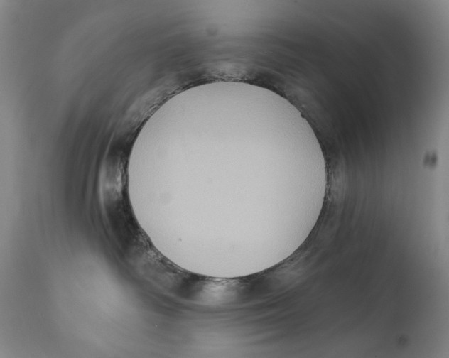 X0000111220334200907231446