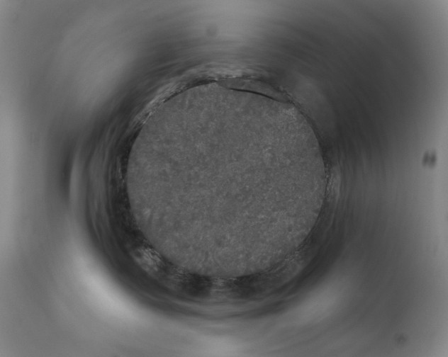 X0000111220335200907231446