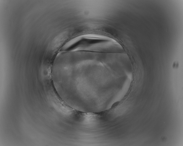 X0000111220336200907231446