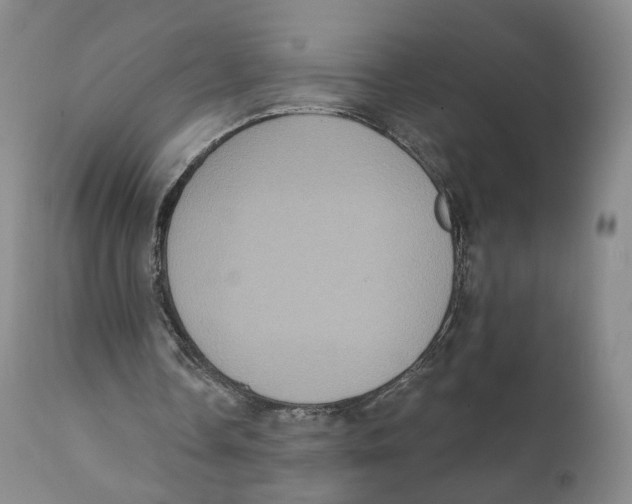X0000111220338200907231446