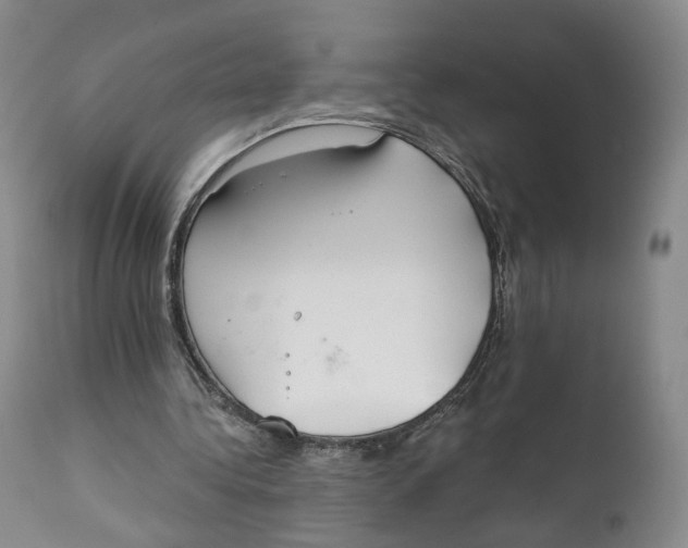 X0000111220340200907231446