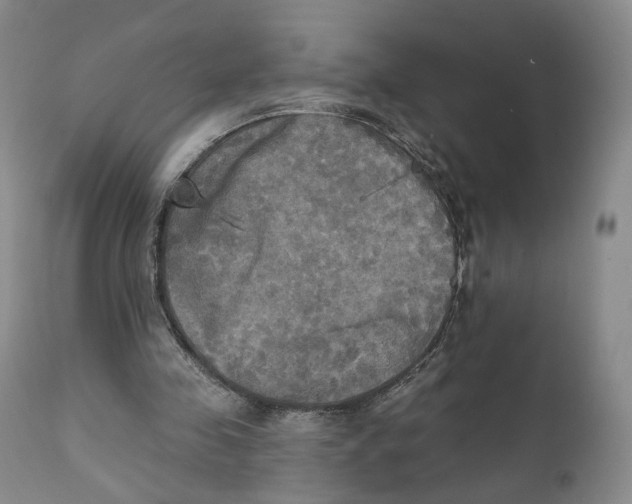 X0000111220341200907231446