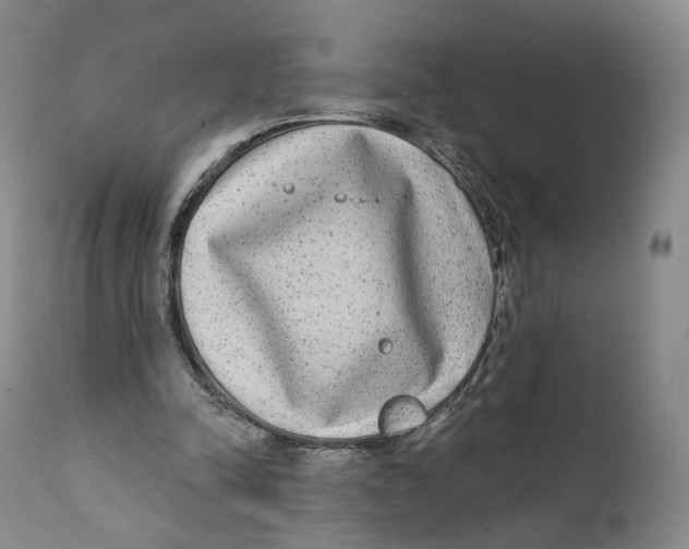 X0000111220342200907231446
