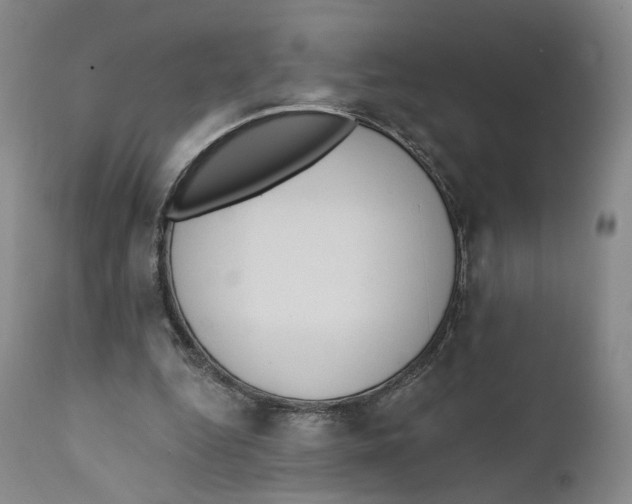 X0000111220344200907231446
