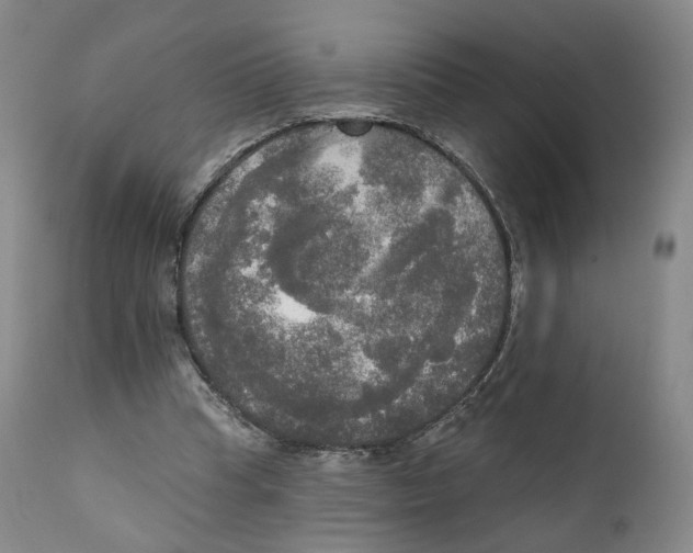 X0000111220345200907231446