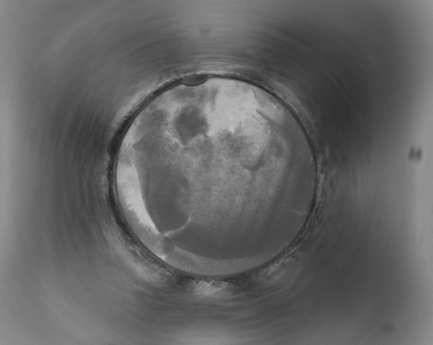 X0000111220346200907231446