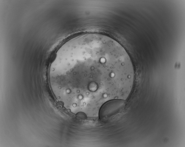 X0000111220347200907231446