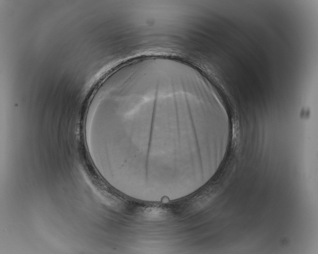 X0000111220348200907231446