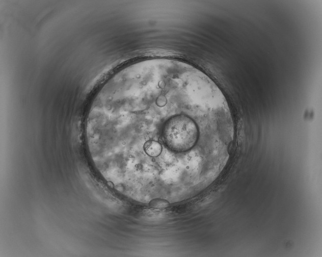 X0000111220351200907231446