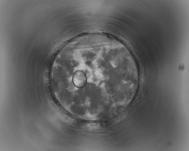 X0000111220353200907231446