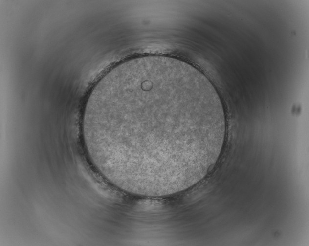 X0000111220354200907231446