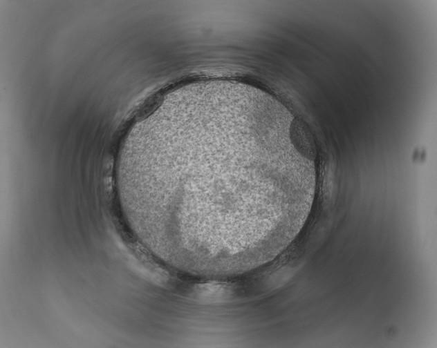 X0000111220356200907231446