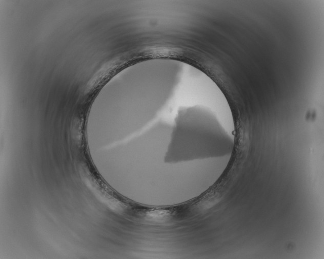 X0000111220357200907231446
