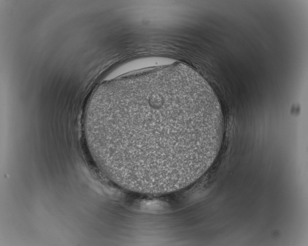 X0000111220360200907231446