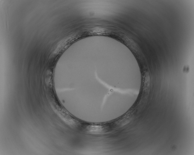 X0000111220361200907231446