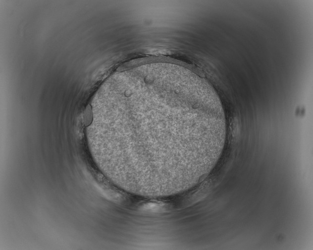 X0000111220364200907231446