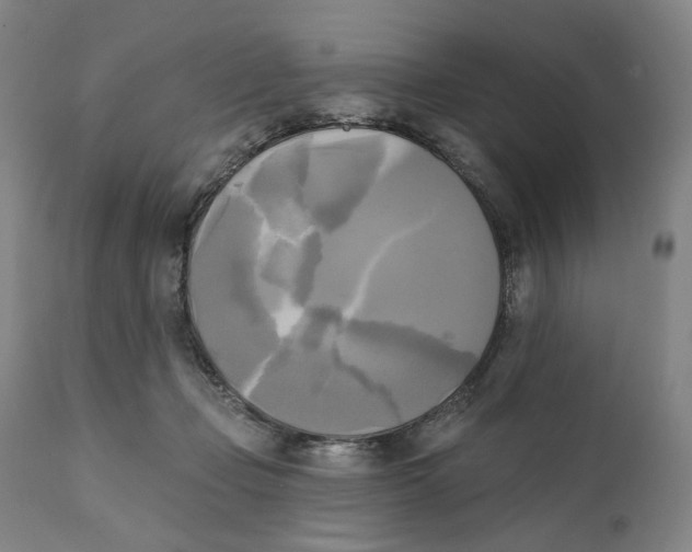 X0000111220365200907231446