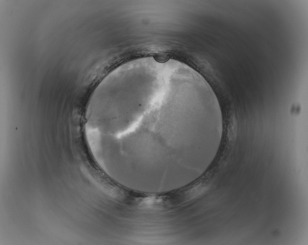 X0000111220366200907231446