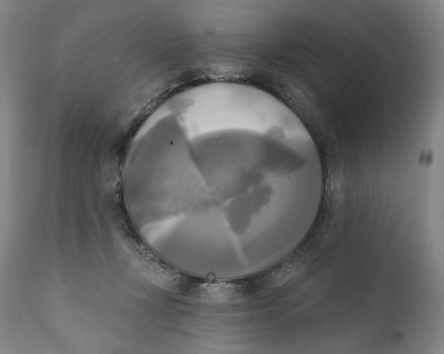 X0000111220367200907231446