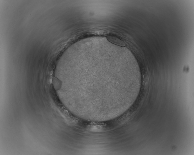 X0000111220368200907231446