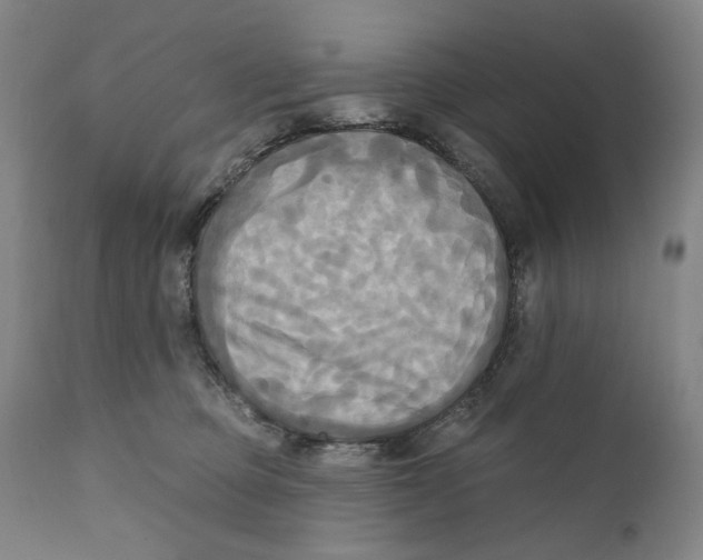 X0000111220373200907231446