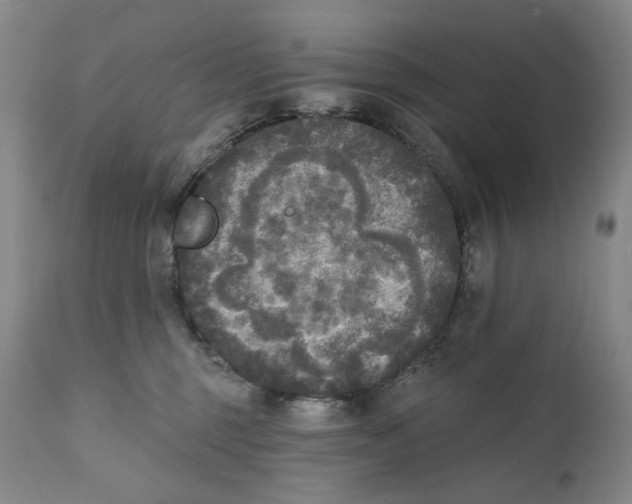 X0000111220375200907231446