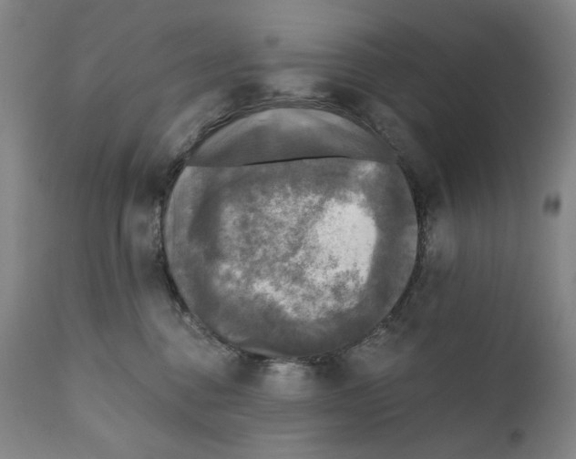 X0000111220376200907231446