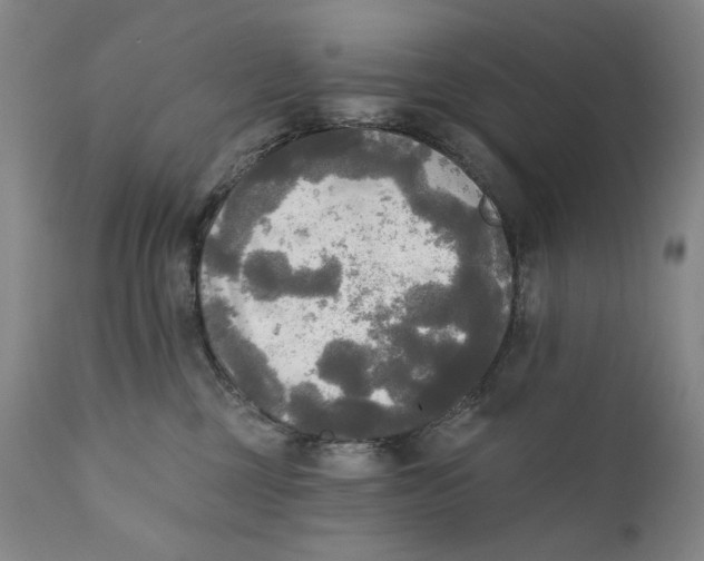 X0000111220377200907231446