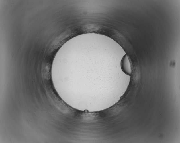 X0000111220378200907231446