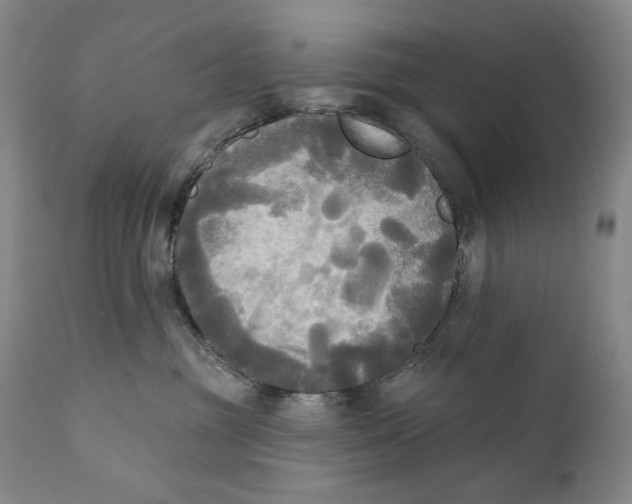X0000111220381200907231446