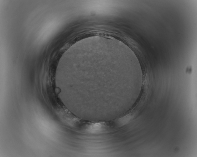 X0000111220382200907231446