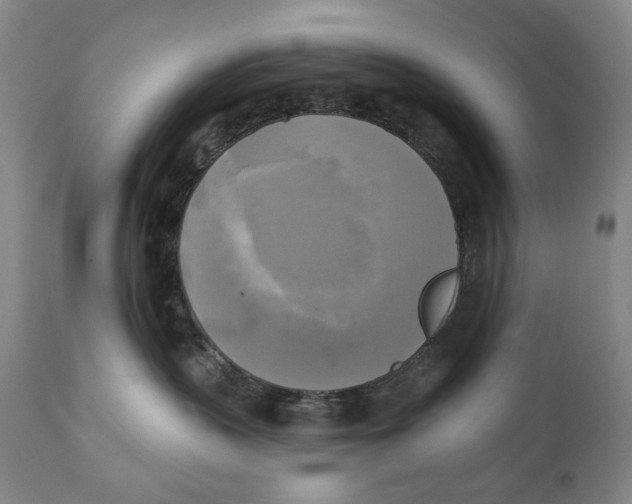 X0000111220383200907231446