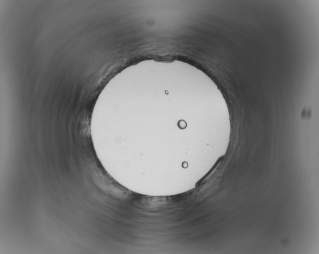 X0000111220384200907231446