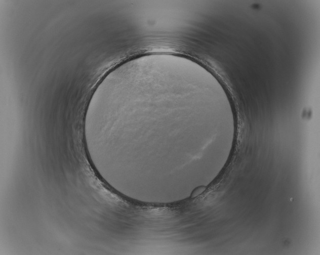 X0000111220385200907231446