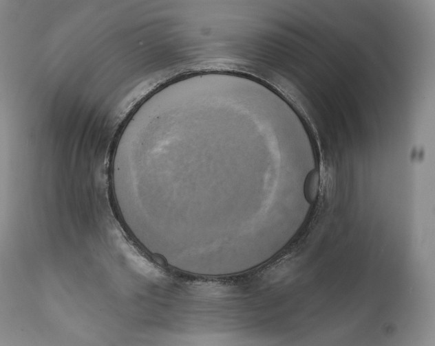 X0000111220389200907231446