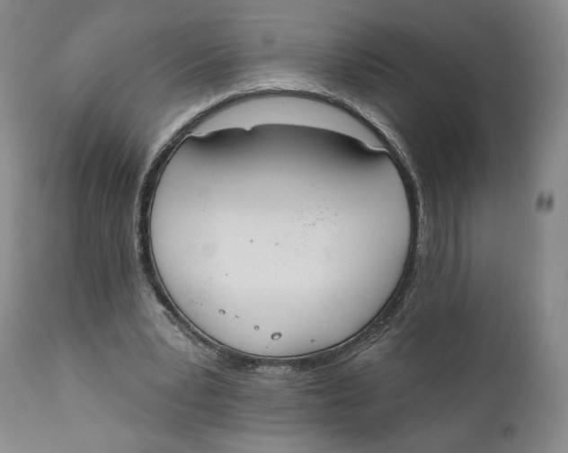 X0000111220391200907231446