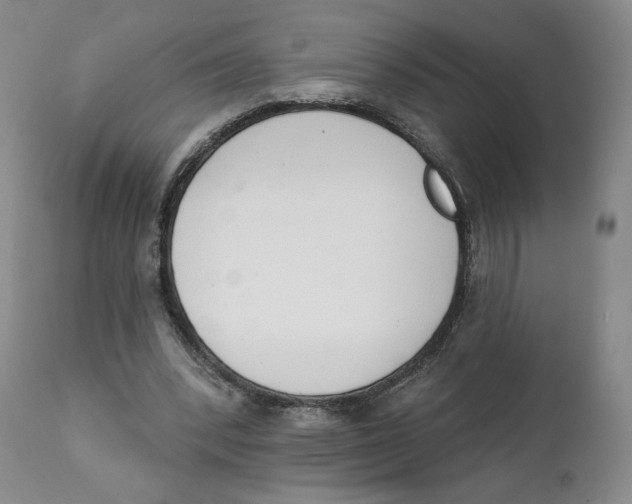 X0000111220392200907231446