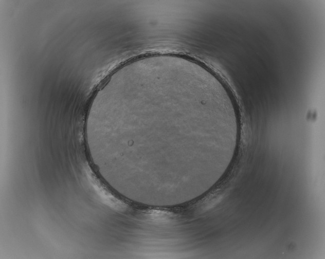 X0000111220393200907231446
