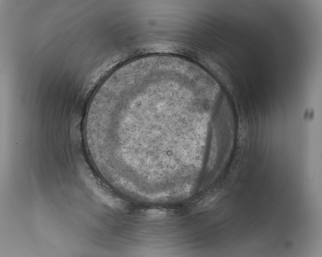 X0000111220394200907231446
