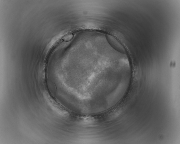 X0000111220395200907231446