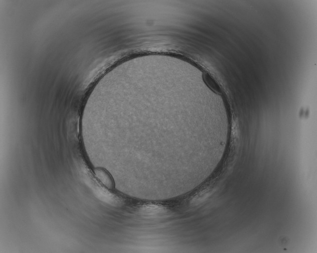 X0000111220397200907231446