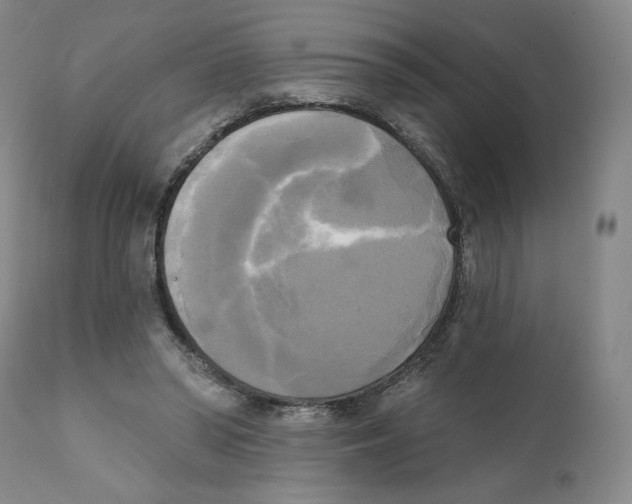 X0000111220398200907231446