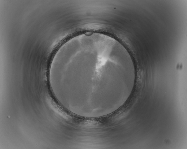 X0000111220399200907231445