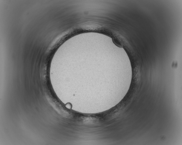 X0000111220400200907231445