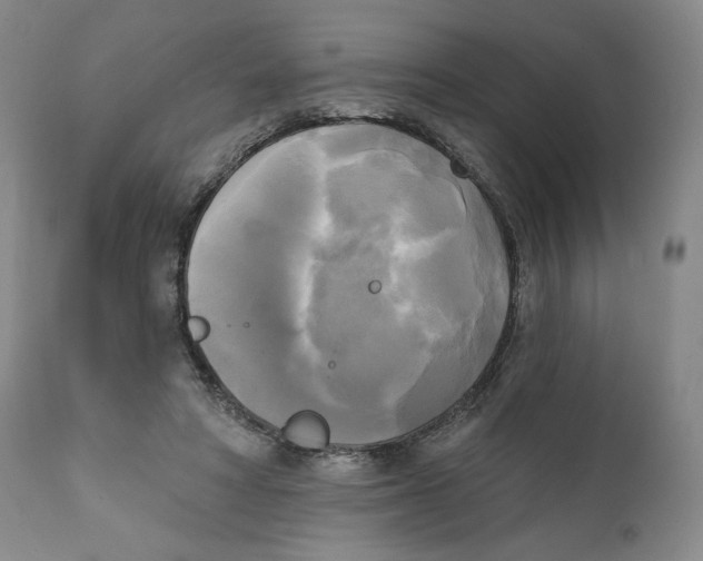 X0000111220402200907231445