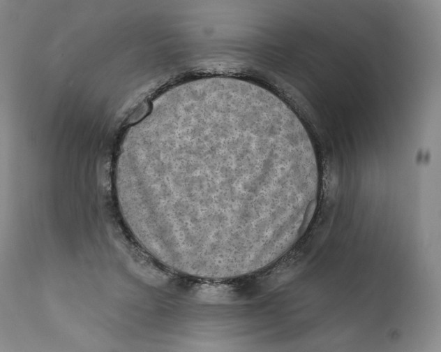 X0000111220403200907231445