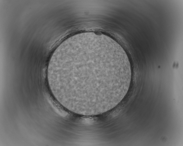 X0000111220405200907231445