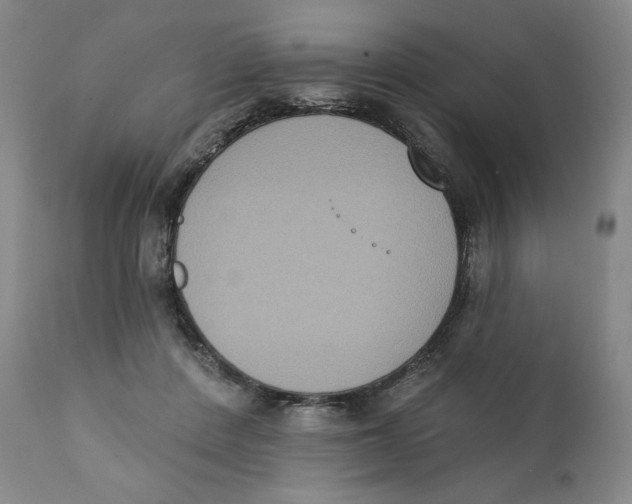 X0000111220408200907231445